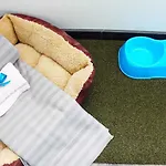 Francis Superior 招待所