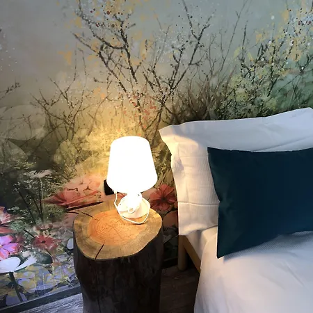 Francis Superior Trieste