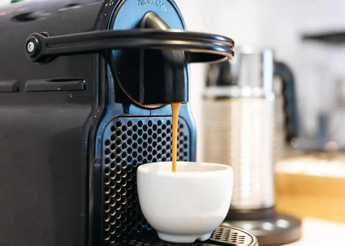 Francis Superior トリエステ