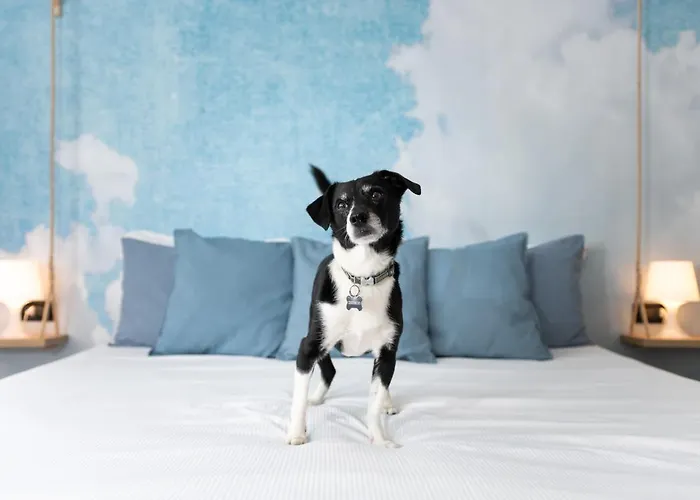 ゲストハウス Francis Superior 4*