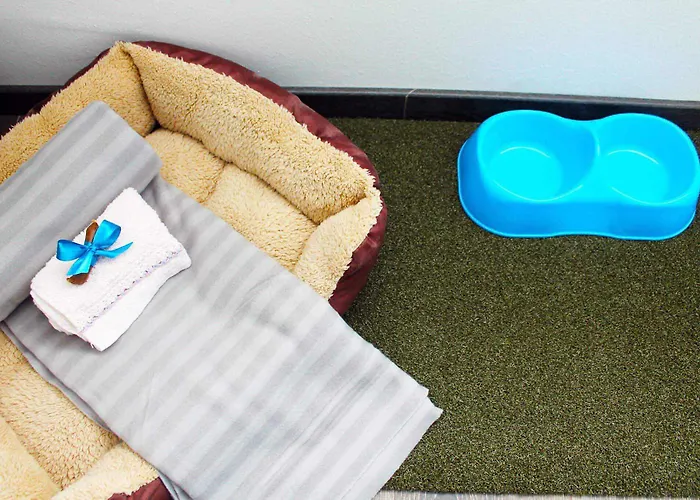 Francis Superior ゲストハウス